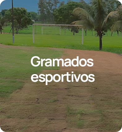 Gramados esportivos